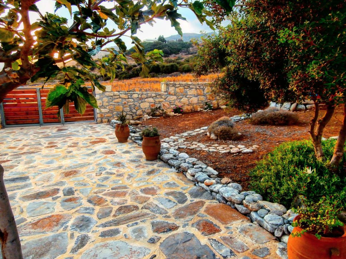 Orionas Villa Tsoutsouros  Exterior photo